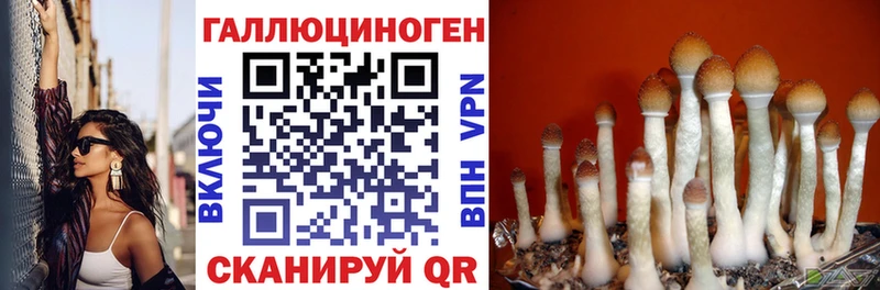 цены наркотик Горбатов Псилоцибиновые грибы Magic Shrooms